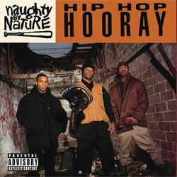 Naughty By Nature - Hip Hop Hooray b/w Written On Ya Kitten (Remix)