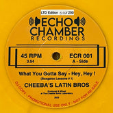 Cheeba's Latin Bros - What You Gotta Say b/w I Wanna Get High